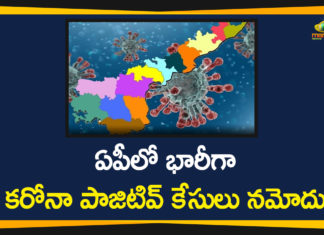 AP Covid-19 Updates, andhra pradesh, AP Corona Positive Cases, AP Coronavirus, AP COVID 19 Cases, AP Total Positive Cases, Coronavirus, Coronavirus Breaking News, coronavirus latest news, Coronavirus live updates, COVID-19, Total Corona Cases In AP