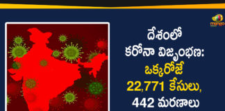 యం 22771 Positive Cases In India, Coronavirus Cases In India, Coronavirus Deaths In India, Coronavirus In India, Coronavirus in India live updates, Coronavirus Live Updates, Coronavirus outbreak, coronavirus positive cases, Coronavirus Positive Cases In India, india coronavirus cases, india coronavirus deaths, India Covid-19 Updates, Total Corona Cases In India