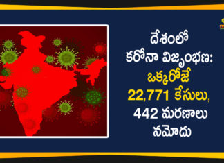 యం 22771 Positive Cases In India, Coronavirus Cases In India, Coronavirus Deaths In India, Coronavirus In India, Coronavirus in India live updates, Coronavirus Live Updates, Coronavirus outbreak, coronavirus positive cases, Coronavirus Positive Cases In India, india coronavirus cases, india coronavirus deaths, India Covid-19 Updates, Total Corona Cases In India