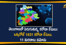 Covid-19 in Telangana, Coronavirus, Coronavirus Breaking News, Coronavirus Latest News, COVID-19, telangana, Telangana Coronavirus, Telangana Coronavirus Cases, Telangana Coronavirus Deaths, Telangana Coronavirus New Cases, Telangana Coronavirus News, Telangana New Positive Cases, Total COVID 19 Cases