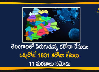 తెలంగాణలో పెరుగుతున్న కరోనా కేసులు: ఒక్కరోజే 1831 కరోనా కేసులు, 11 మరణాలు నమోదు Covid-19 in Telangana, Coronavirus, Coronavirus Breaking News, Coronavirus Latest News, COVID-19, telangana, Telangana Coronavirus, Telangana Coronavirus Cases, Telangana Coronavirus Deaths, Telangana Coronavirus New Cases, Telangana Coronavirus News, Telangana New Positive Cases, Total COVID 19 Cases