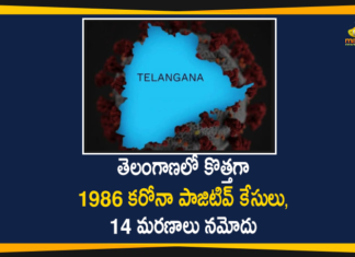 Coronavirus, Coronavirus Breaking News, Coronavirus Latest News, COVID-19, telangana, Telangana Coronavirus, Telangana Coronavirus Cases, Telangana Coronavirus Deaths, Telangana Coronavirus New Cases, Telangana Coronavirus News, Telangana New Positive Cases, Total COVID 19 Cases