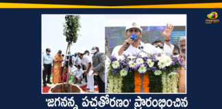 Andhra Pradesh, Andhra Pradesh Latest News, Andhra Pradesh News, Andhra Pradesh Political News, Andhra Pradesh Political Updates, AP Jagananna Pacha Thoranam Program, Jagananna Pacha Thoranam, Jagananna Pacha Thoranam Program, Jagananna Pacha Thoranam Program In AP, YS Jagan Started Jagananna Pacha Thoranam Program