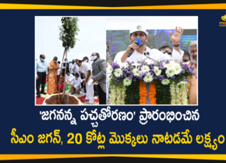 Andhra Pradesh, Andhra Pradesh Latest News, Andhra Pradesh News, Andhra Pradesh Political News, Andhra Pradesh Political Updates, AP Jagananna Pacha Thoranam Program, Jagananna Pacha Thoranam, Jagananna Pacha Thoranam Program, Jagananna Pacha Thoranam Program In AP, YS Jagan Started Jagananna Pacha Thoranam Program