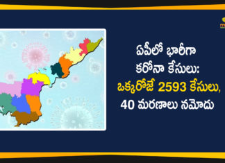 AP Corona Updates , andhra pradesh, AP Corona Positive Cases, AP Coronavirus, AP COVID 19 Cases, AP Total Positive Cases, Coronavirus, Coronavirus Breaking News, coronavirus latest news, Coronavirus live updates, COVID-19, Total Corona Cases In AP