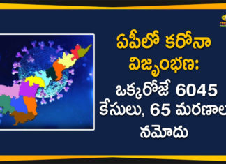 AP Corona Updates, andhra pradesh, AP Corona Positive Cases, AP Coronavirus, AP COVID 19 Cases, AP Total Positive Cases, Coronavirus, Coronavirus Breaking News, coronavirus latest news, Coronavirus live updates, COVID-19, Total Corona Cases In AP
