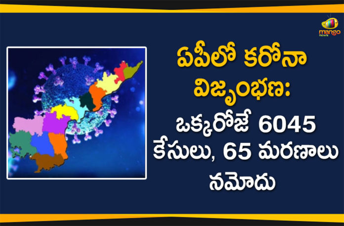 AP Corona Updates, andhra pradesh, AP Corona Positive Cases, AP Coronavirus, AP COVID 19 Cases, AP Total Positive Cases, Coronavirus, Coronavirus Breaking News, coronavirus latest news, Coronavirus live updates, COVID-19, Total Corona Cases In AP