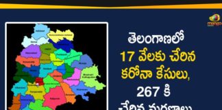 Coronavirus, Coronavirus Breaking News, Coronavirus Latest News, COVID-19, telangana, Telangana Coronavirus, Telangana Coronavirus Cases, Telangana Coronavirus Deaths, Telangana Coronavirus New Cases, Telangana Coronavirus News, Telangana New Positive Cases, Total COVID 19 Cases