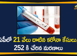 ఏపీలో 21 వేలు దాటిన కరోనా కేసులు, 252 కి చేరిన మరణాలు Andhra Pradesh, AP Corona Positive Cases, AP Coronavirus, AP COVID 19 Cases, AP Total Positive Cases, Corona Updates in AP, Coronavirus, Coronavirus Breaking News, Coronavirus Latest News, Coronavirus Live Updates, COVID-19, Total Corona Cases In AP