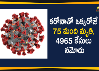 Coronavirus in Tamil Nadu, Tamil Nadu, Tamil Nadu Corona Cases, Tamil Nadu Corona Deaths, Tamil Nadu Corona Positive Cases, Tamil Nadu Coronavirus, Tamil Nadu Coronavirus Cases, Tamil Nadu Coronavirus News, Tamil Nadu Coronavirus Updates, Tamil Nadu Covid-19 Cases,