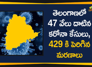 Coronavirus, Coronavirus Breaking News, Coronavirus Latest News, COVID-19, COVID-19 in Telangana, telangana, Telangana Coronavirus, Telangana Coronavirus Cases, Telangana Coronavirus Deaths, Telangana Coronavirus New Cases, Telangana Coronavirus News, Telangana New Positive Cases, Total COVID 19 Cases