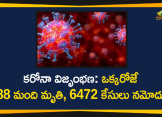 కరోనా విజృంభణ: ఒక్కరోజే 88 మంది మృతి, 6472 కేసులు నమోదు 6472 New Covid-19 Cases and 88 Deaths Reported Today in Tamilnadu