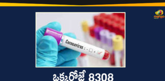 Corona Positive Cases in Maharashtra, Corona Positive Cases In Maharashtra, Maharashtra, Maharashtra , Maharashtra Corona, Maharashtra Corona Cases, Maharashtra Corona Deaths, Maharashtra Corona Positive Cases, Maharashtra Coronavirus, Maharashtra Coronavirus Positive Cases, Maharashtra Coronavirus Updates, Maharashtra COVID 19