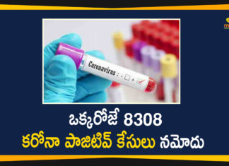 Corona Positive Cases in Maharashtra, Corona Positive Cases In Maharashtra, Maharashtra, Maharashtra , Maharashtra Corona, Maharashtra Corona Cases, Maharashtra Corona Deaths, Maharashtra Corona Positive Cases, Maharashtra Coronavirus, Maharashtra Coronavirus Positive Cases, Maharashtra Coronavirus Updates, Maharashtra COVID 19