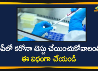 Andhra Pradesh, AP Coronavirus, AP COVID 19 Cases, AP Total Positive Cases, Corona Testing in AP, Corona Testing Process in AP, Corona Update, Coronavirus, COVID-19, Process to Contact For Corona Testing in AP, Total Corona Cases In AP