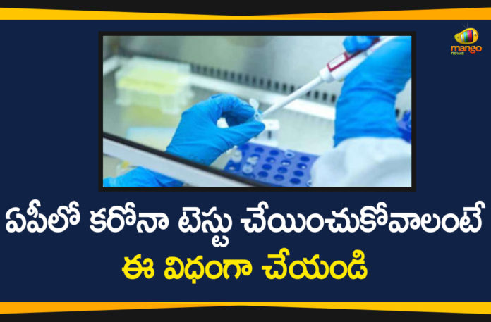 Andhra Pradesh, AP Coronavirus, AP COVID 19 Cases, AP Total Positive Cases, Corona Testing in AP, Corona Testing Process in AP, Corona Update, Coronavirus, COVID-19, Process to Contact For Corona Testing in AP, Total Corona Cases In AP