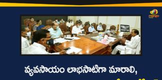 Agriculture Department, CM KCR, kcr latest news, KCR Review Meeting, KCR Review Meeting on Agriculture Department, Pragathi Bhavan, telangana, Telangana Agriculture Department, Telangana CM KCR, Telangana News, Telangana Political Updates
