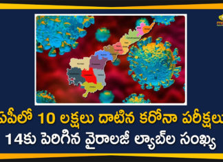 Andhra Pradesh, Andhra Pradesh COVID-19 Tests, Andhra Pradesh Crosses One Million Mark in COVID-19 Tests, ap corona tests, AP Coronavirus, AP COVID 19 Cases, AP Total Positive Cases, Coronavirus, Coronavirus Live Updates, Coronavirus Tests, Coronavirus Tests In AP, COVID-19