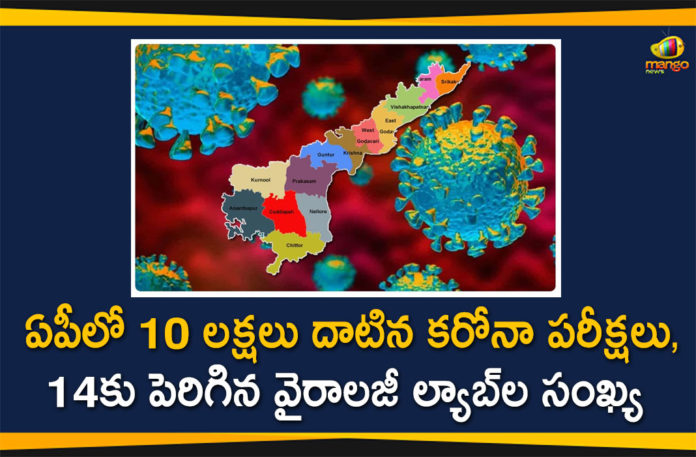 Andhra Pradesh, Andhra Pradesh COVID-19 Tests, Andhra Pradesh Crosses One Million Mark in COVID-19 Tests, ap corona tests, AP Coronavirus, AP COVID 19 Cases, AP Total Positive Cases, Coronavirus, Coronavirus Live Updates, Coronavirus Tests, Coronavirus Tests In AP, COVID-19