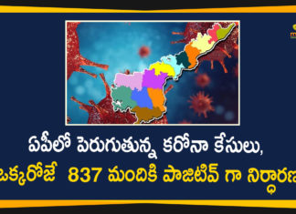 Covid-19 In AP, andhra pradesh, AP Corona Positive Cases, AP Coronavirus, AP COVID 19 Cases, AP Total Positive Cases, Coronavirus, Coronavirus Breaking News, coronavirus latest news, Coronavirus live updates, COVID-19, Total Corona Cases In AP