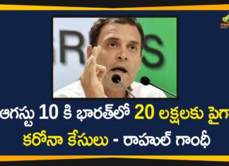 Coronavirus Deaths In India, Coronavirus In India, Coronavirus outbreak, Coronavirus Positive Cases In India, india coronavirus cases, india coronavirus deaths, rahul gandhi, Rahul Gandhi About Coronavirus, Rahul Gandhi Coronavirus, Rahul Gandhi Latest News