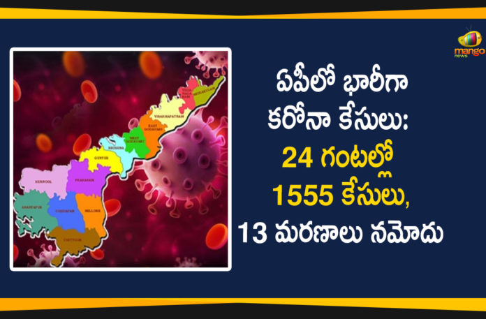 AP Covid-19 Updates : 1555 New Positive Cases, 13 Deaths Reported Today