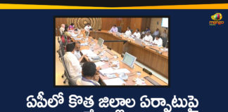 AP Cabinet Approves Formation of Committee on Establishment of New Districts