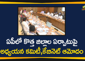 AP Cabinet Approves Formation of Committee on Establishment of New Districts