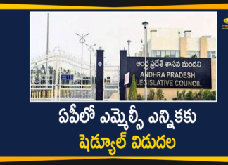 andhra pradesh, Andhra Pradesh MLC By Elections, Andhra Pradesh MLC Elections, AP MLC By Elections 2020, AP MLC By-elections, AP NEWS, AP Political News, MLC By-elections