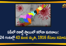 AP Covid-19 Updates, andhra pradesh, AP Corona Positive Cases, AP Coronavirus, AP COVID 19 Cases, AP Total Positive Cases, Coronavirus, Coronavirus Breaking News, coronavirus latest news, Coronavirus live updates, COVID-19, Total Corona Cases In AP