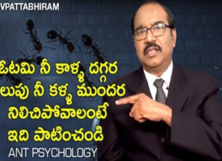 How to Achieve your GOALS With ANT PSYCHOLOGY Method,Motivational Videos,How to Reach your GOAL With ANT PSYCHOLOGY Method,BV Pattabhiram,ANT PSYCHOLOGY for Success,Personality Development,BV Pattabhiram Latest Videos,BV Pattabhiram Speeches,BV Pattabhiram interview,How do you set goals for yourself?,Steps to Achieve Any Goal,Five Golden Rules for Successful Goal Setting,Passion and success,Tips to Achieve Your Dreams