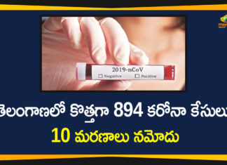 Coronavirus, Coronavirus Breaking News, Coronavirus Latest News, COVID-19, telangana, Telangana Coronavirus, Telangana Coronavirus Cases, Telangana Coronavirus Deaths, Telangana Coronavirus New Cases, Telangana Coronavirus News, Telangana New Positive Cases, Total COVID 19 Cases