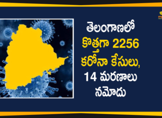 Coronavirus, Coronavirus Breaking News, Coronavirus Latest News, COVID-19, telangana, Telangana Coronavirus, Telangana Coronavirus Cases, Telangana Coronavirus Deaths, Telangana Coronavirus New Cases, Telangana Coronavirus News, Telangana New Positive Cases, Total COVID 19 Cases