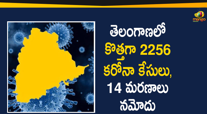 Coronavirus, Coronavirus Breaking News, Coronavirus Latest News, COVID-19, telangana, Telangana Coronavirus, Telangana Coronavirus Cases, Telangana Coronavirus Deaths, Telangana Coronavirus New Cases, Telangana Coronavirus News, Telangana New Positive Cases, Total COVID 19 Cases
