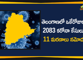 Coronavirus, Coronavirus Breaking News, Coronavirus Latest News, COVID-19, telangana, Telangana Coronavirus, Telangana Coronavirus Cases, Telangana Coronavirus Deaths, Telangana Coronavirus New Cases, Telangana Coronavirus News, Telangana New Positive Cases, Total COVID 19 Cases