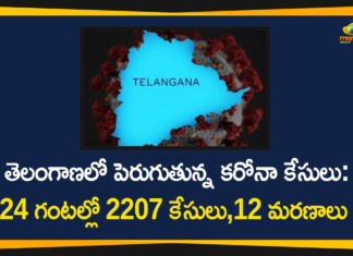 Coronavirus, Coronavirus Breaking News, Coronavirus Latest News, COVID-19, telangana, Telangana Coronavirus, Telangana Coronavirus Cases, Telangana Coronavirus Deaths, Telangana Coronavirus New Cases, Telangana Coronavirus News, Telangana New Positive Cases, Total COVID 19 Cases