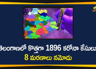 Coronavirus, Coronavirus Breaking News, Coronavirus Latest News, COVID-19, telangana, Telangana Coronavirus, Telangana Coronavirus Cases, Telangana Coronavirus Deaths, Telangana Coronavirus New Cases, Telangana Coronavirus News, Telangana New Positive Cases, Total COVID 19 Cases