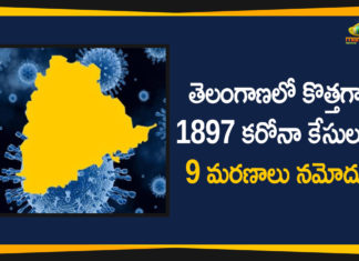 Coronavirus, Coronavirus Breaking News, Coronavirus Latest News, COVID-19, COVID-19 in Telangana, telangana, Telangana Coronavirus, Telangana Coronavirus Cases, Telangana Coronavirus Deaths, Telangana Coronavirus New Cases, Telangana Coronavirus News, Telangana New Positive Cases, Total COVID 19 Cases