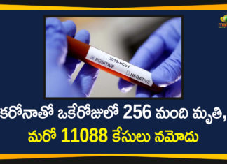 Corona Positive Cases in Maharashtra, Corona Positive Cases In Maharashtra, Maharashtra, Maharashtra , Maharashtra Corona, Maharashtra Corona Cases, Maharashtra Corona Deaths, Maharashtra Corona Positive Cases, Maharashtra Coronavirus, Maharashtra Coronavirus Positive Cases, Maharashtra Coronavirus Updates, Maharashtra COVID 19