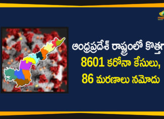 andhra pradesh, AP Corona Positive Cases, AP Coronavirus, AP COVID 19 Cases, AP Total Positive Cases, Coronavirus, Coronavirus Breaking News, coronavirus latest news, Coronavirus live updates, COVID-19, Total Corona Cases In AP