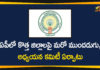 Andhra Pradesh, Andhra Pradesh Political News, AP Govt has Formed Committee to Study on New Districts Establishment, AP New Districts Establishment, AP News, New Districts Establishment In AP
