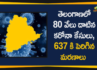 Coronavirus, Coronavirus Breaking News, Coronavirus Latest News, COVID-19, telangana, Telangana Coronavirus, Telangana Coronavirus Cases, Telangana Coronavirus Deaths, Telangana Coronavirus New Cases, Telangana Coronavirus News, Telangana New Positive Cases, Total COVID 19 Cases