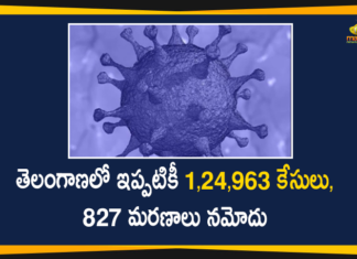 Coronavirus, COVID-19, COVID-19 in Telangana, telangana, Telangana Coronavirus, Telangana Coronavirus Cases, telangana coronavirus cases today, telangana coronavirus cases today district wise, Telangana Coronavirus Deaths, Telangana Coronavirus New Cases, Telangana Coronavirus News, telangana covid cases today bulletin, telangana covid cases today list