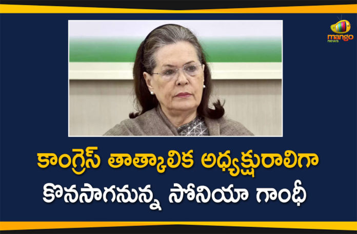 Congress Working Committee, Congress Working Committee meeting, Congress Working Committee Meeting at Delhi, CWC Congress Working Committee Meeting, Interim Chief of Congress Party, national news, Sonia Gandhi, Sonia Gandhi Continue as Interim Chief of Congress Party