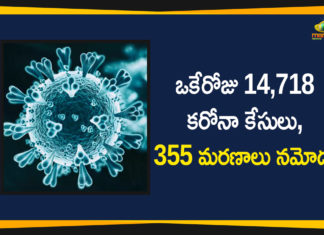 Corona Positive Cases in Maharashtra, Corona Positive Cases In Maharashtra, Maharashtra, Maharashtra , Maharashtra Corona, Maharashtra Corona Cases, Maharashtra Corona Deaths, Maharashtra Corona Positive Cases, Maharashtra Coronavirus, Maharashtra Coronavirus Positive Cases, Maharashtra Coronavirus Updates, Maharashtra COVID 19