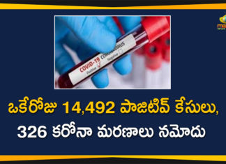 Covid-19 in Maharashtra: 14,492 New Positive and 326 Deaths Reported Today