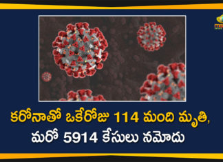 Coronavirus in Tamil Nadu, Tamil Nadu, Tamil Nadu Corona Cases, Tamil Nadu Corona Deaths, Tamil Nadu Corona Positive Cases, Tamil Nadu Coronavirus, Tamil Nadu Coronavirus Cases, Tamil Nadu Coronavirus News, Tamil Nadu Coronavirus Updates, Tamil Nadu Covid-19 Cases,