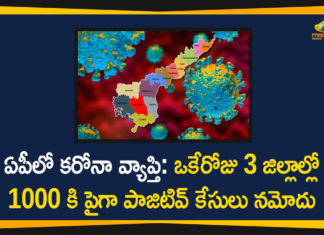 andhra pradesh, AP Corona Positive Cases, AP Coronavirus, AP COVID 19 Cases, AP Total Positive Cases, Coronavirus, Coronavirus Breaking News, coronavirus latest news, Coronavirus live updates, COVID-19, Total Corona Cases In AP