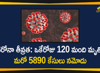 Coronavirus in Tamil Nadu, Tamil Nadu, Tamil Nadu Corona Cases, Tamil Nadu Corona Deaths, Tamil Nadu Corona Positive Cases, Tamil Nadu Coronavirus, Tamil Nadu Coronavirus Cases, Tamil Nadu Coronavirus News, Tamil Nadu Coronavirus Updates, Tamil Nadu Covid-19 Cases,