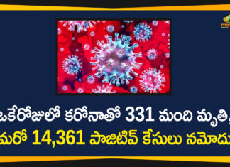 Corona Positive Cases in Maharashtra, Corona Positive Cases In Maharashtra, Maharashtra, Maharashtra , Maharashtra Corona, Maharashtra Corona Cases, Maharashtra Corona Deaths, Maharashtra Corona Positive Cases, Maharashtra Coronavirus, Maharashtra Coronavirus Positive Cases, Maharashtra Coronavirus Updates, Maharashtra COVID 19